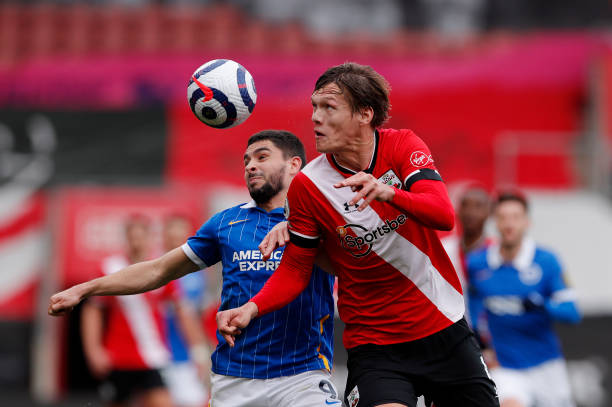 市生根发芽 市生根发芽