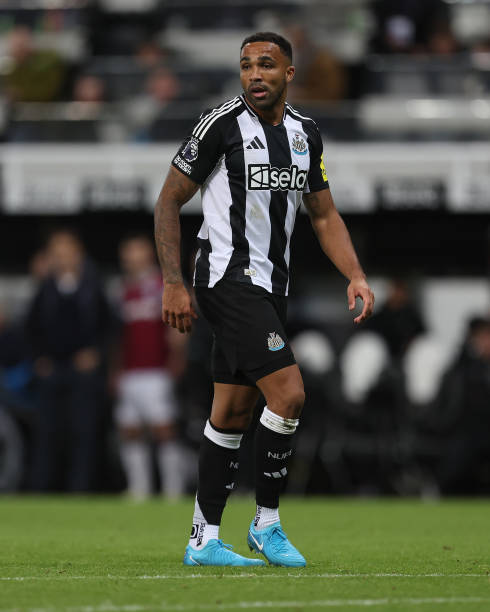 将是球迷们 将是球迷们